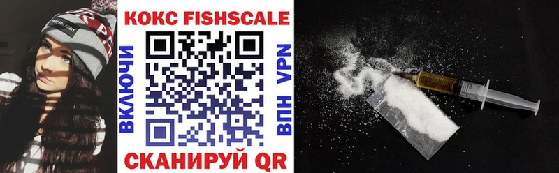 ОМГ ОМГ tor  Тында  COCAIN Fish Scale 