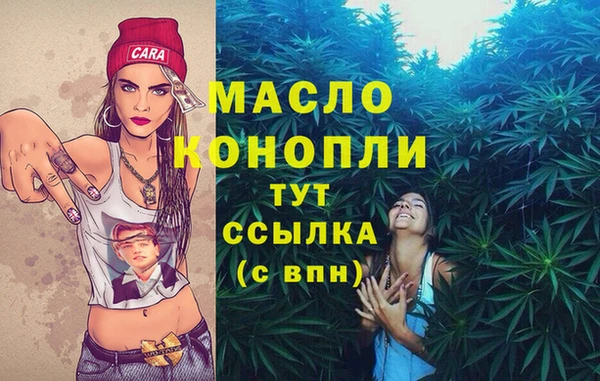 тгк Алексин