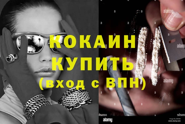 тгк Алексин